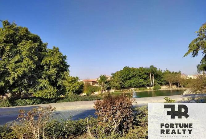 58993033 - Property Image 3