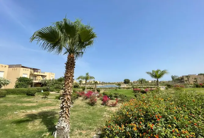 113545296 - صورة العقار 2
