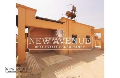Villa - 3 Bedrooms - 4 Bathrooms for sale in Tiba Compound - South Investors Area - New Cairo City - Cairo