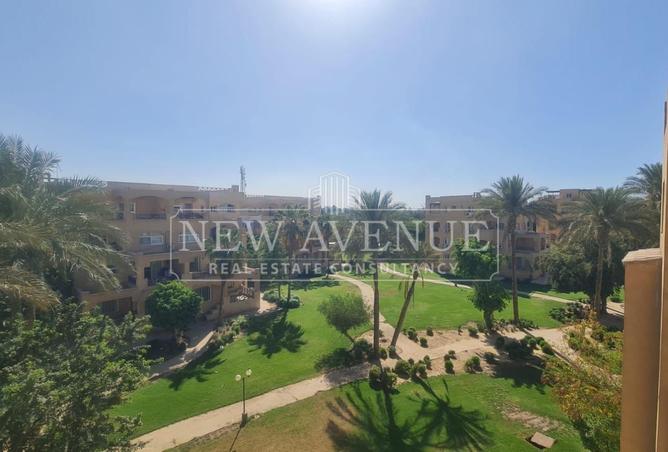 82088457 - Property Image 3
