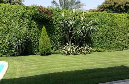 Villa - 4 Bedrooms - 6 Bathrooms for sale in Katameya Heights - El Katameya Compounds - El Katameya - New Cairo City - Cairo