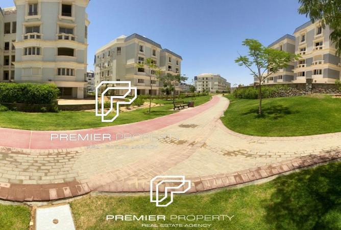 66956565 - Property Image 3