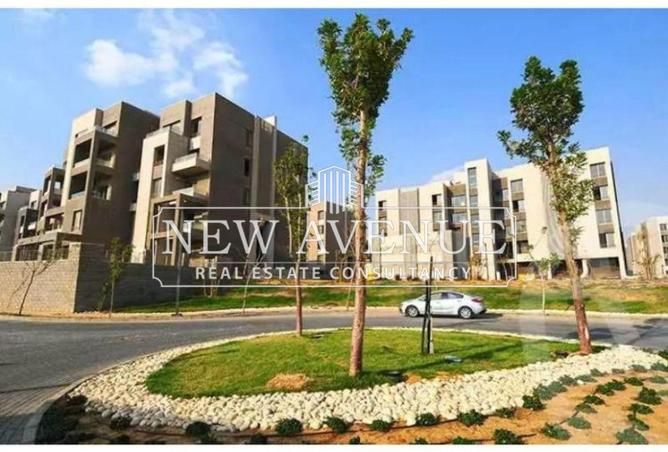 8675764 - Property Image 2