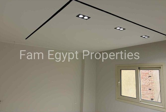 66421857 - Property Image 3