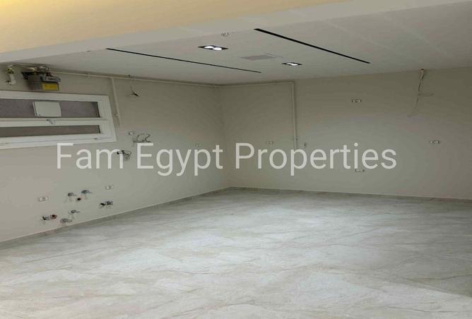 66421857 - Property Image 2