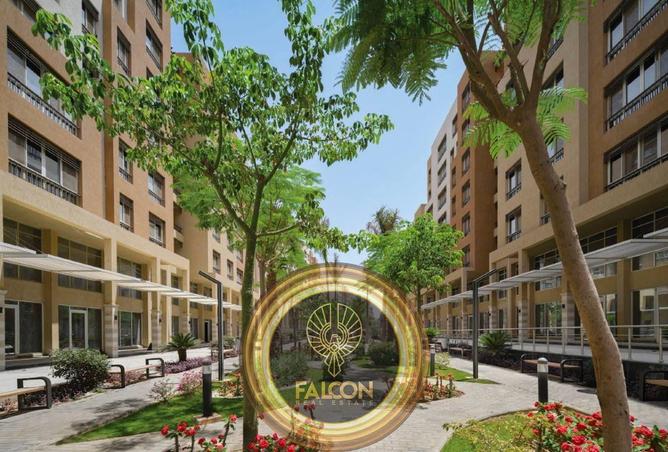 66961892 - Property Image 2