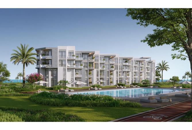 92143053 - Property Image 3