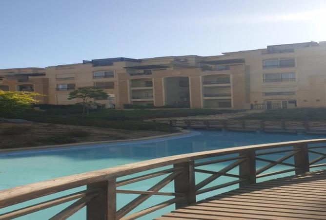 58254103 - صورة العقار 3