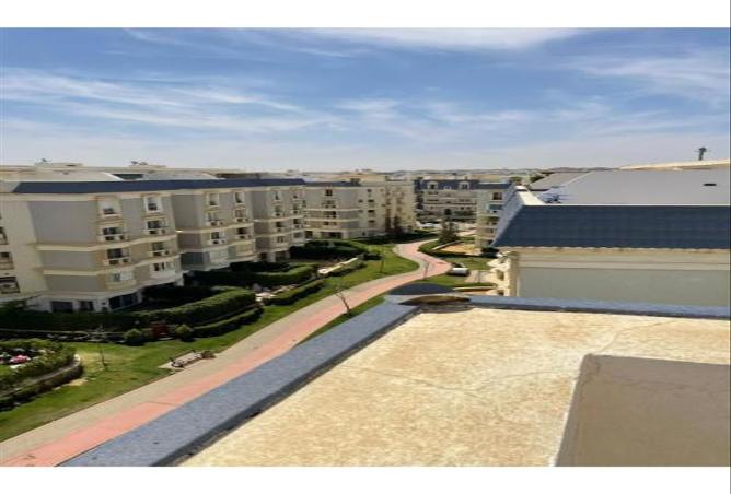 65913241 - صورة العقار 2