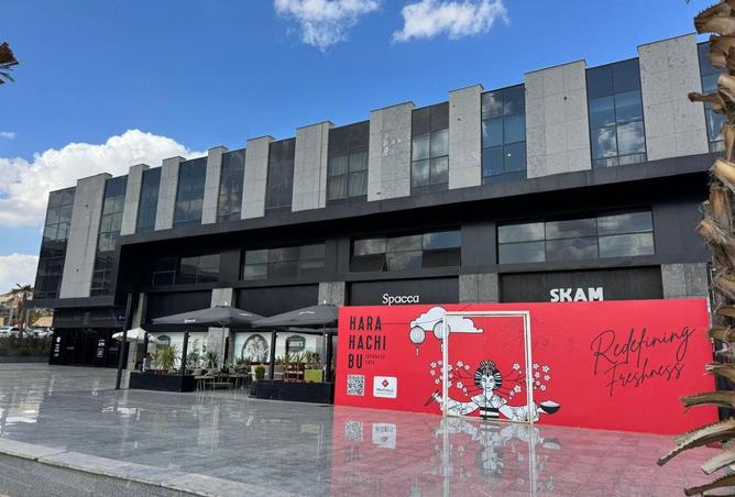 64642701 - صورة العقار 3