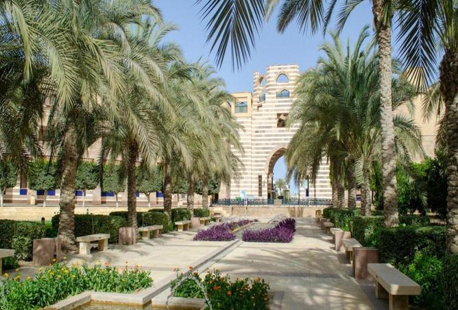 8424161 - Property Image 3