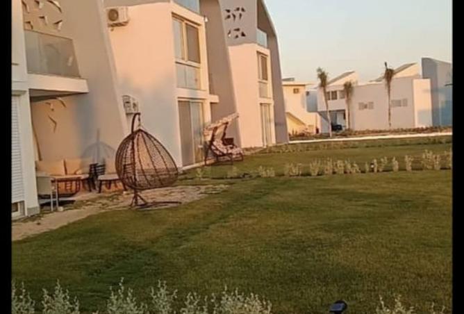 105173514 - صورة العقار 2