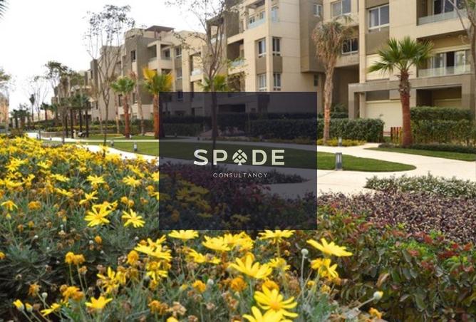 8608322 - Property Image 2