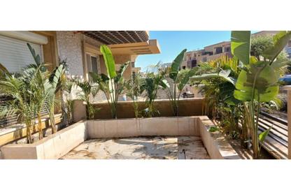 فيلا - 4 غرف نوم - 4 حمامات للايجار في نيو جيزة - طريق مصر اسكندرية الصحراوي - مدينة 6 أكتوبر - الجيزة
