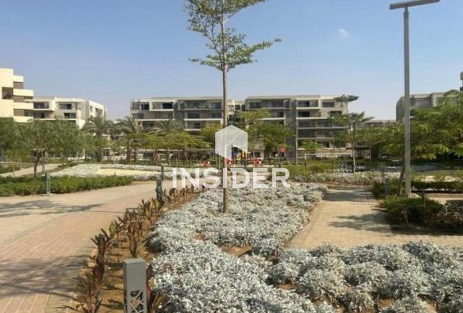 66437643 - صورة العقار 3