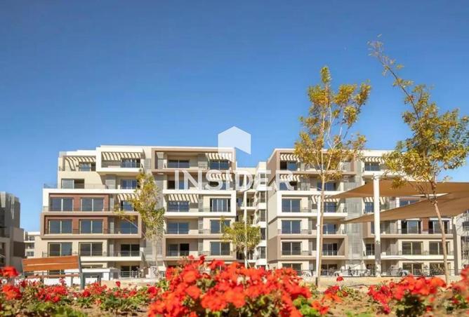 66437643 - صورة العقار 2