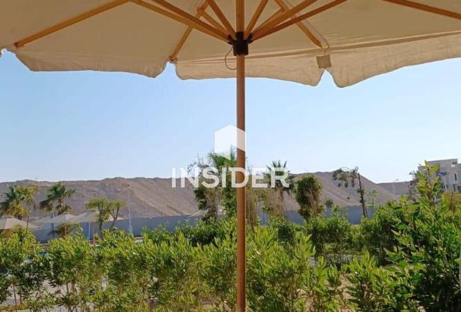 107135874 - Property Image 2