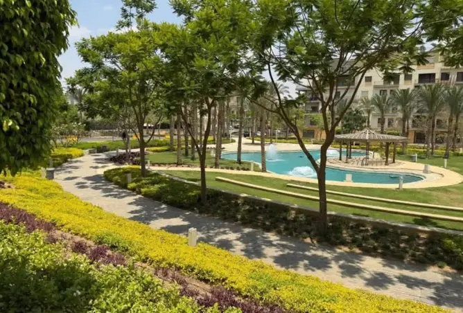 113541209 - Property Image 3