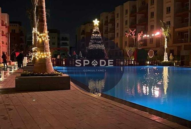 8704275 - صورة العقار 2