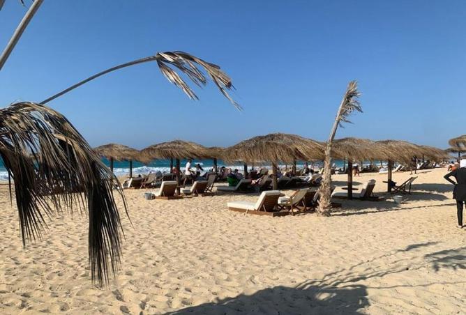 63146670 - صورة العقار 3