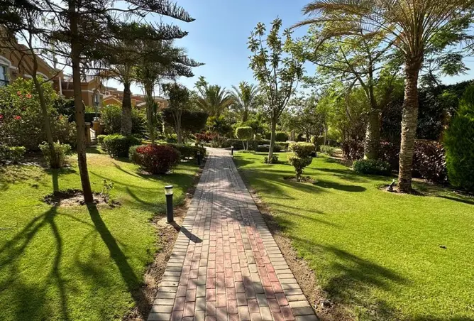 118789385 - صورة العقار 3