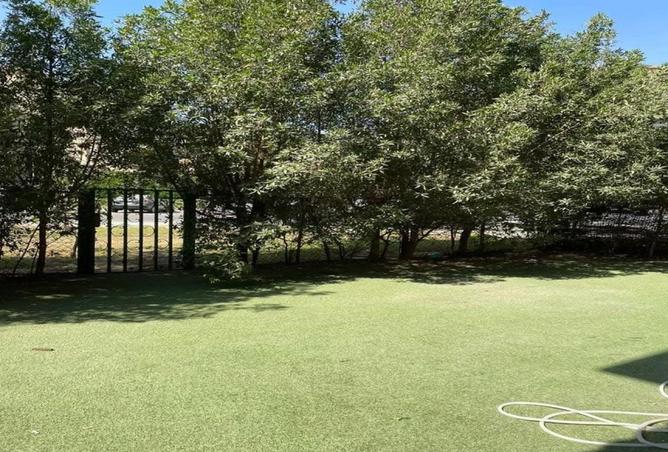 56002987 - صورة العقار 2