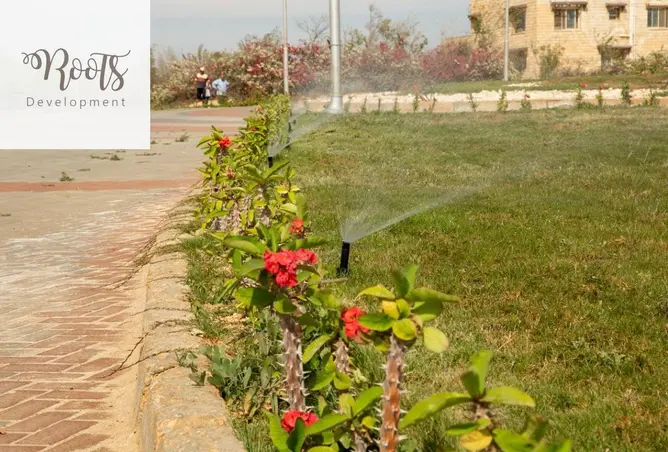 120166564 - صورة العقار 2