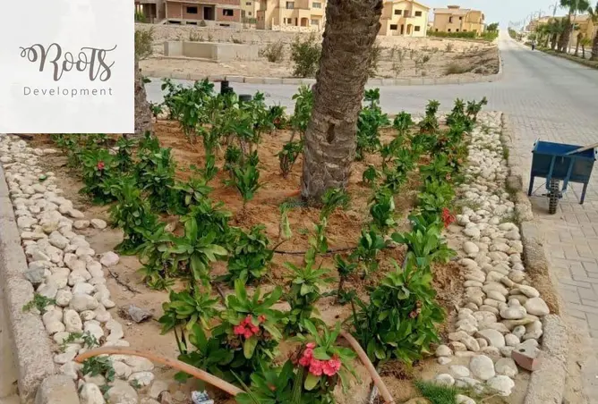 120166564 - صورة العقار 3