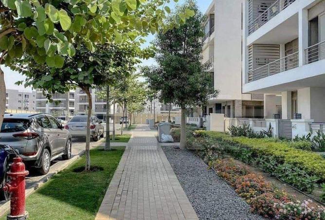 66697242 - Property Image 2