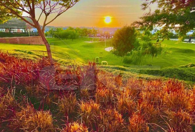 66697242 - Property Image 3