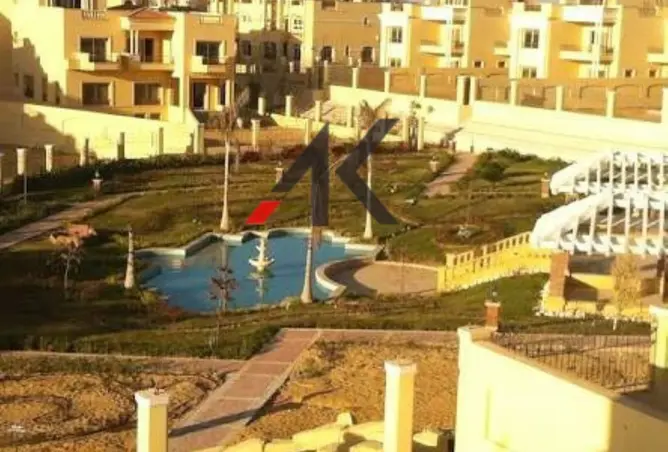 118040594 - Property Image 3