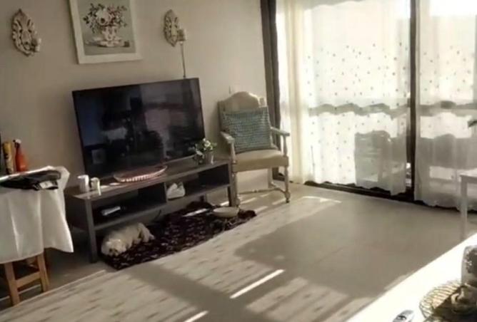 64894435 - صورة العقار 2