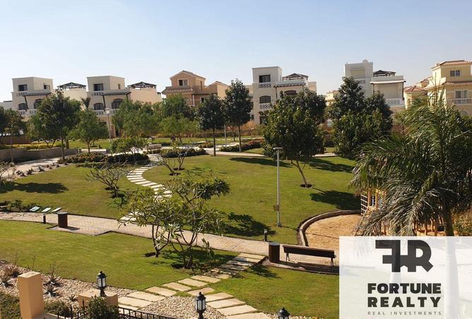 56246571 - Property Image 3