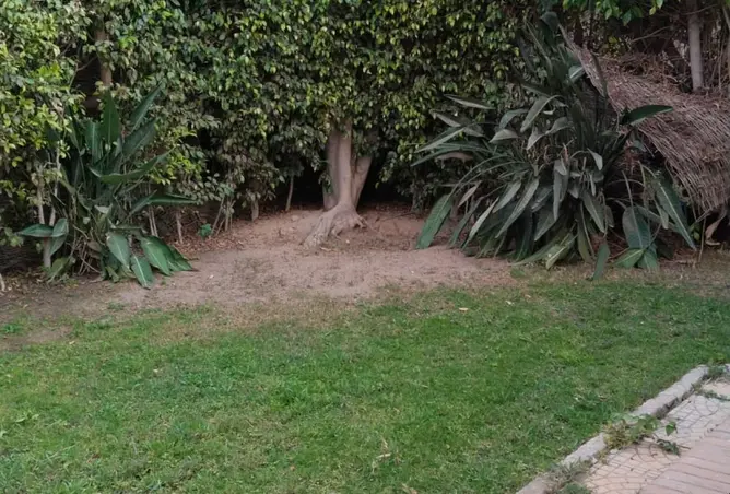 109925072 - Property Image 2