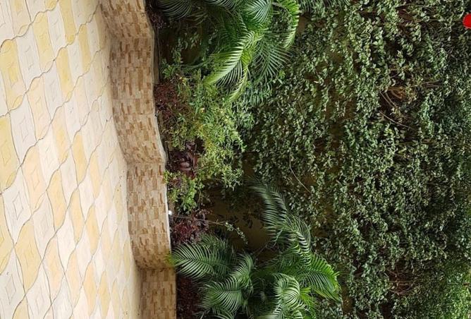 8480434 - صورة العقار 2