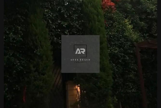 69578027 - صورة العقار 3