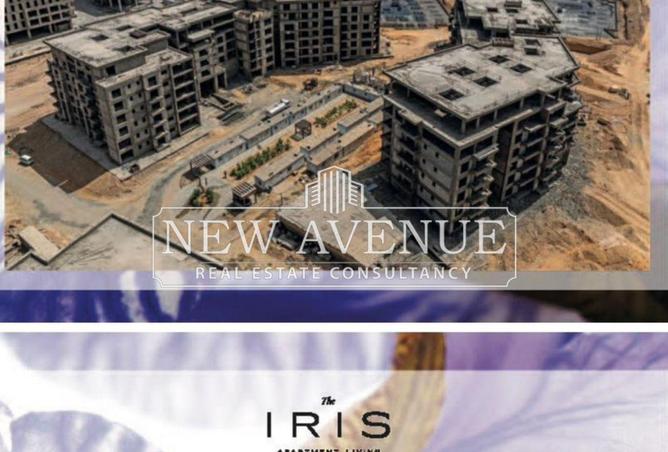 56504016 - صورة العقار 3