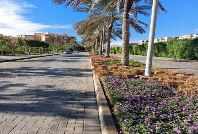 67479878 - صورة العقار 2