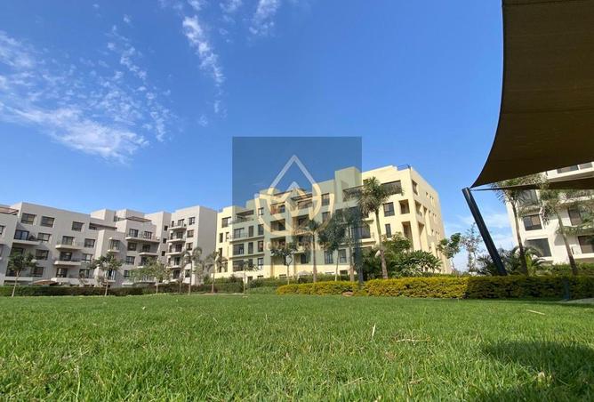 65156623 - صورة العقار 3