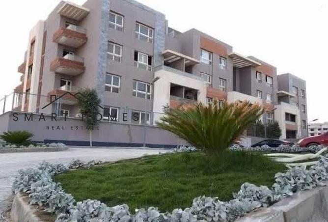 58254623 - Property Image 3