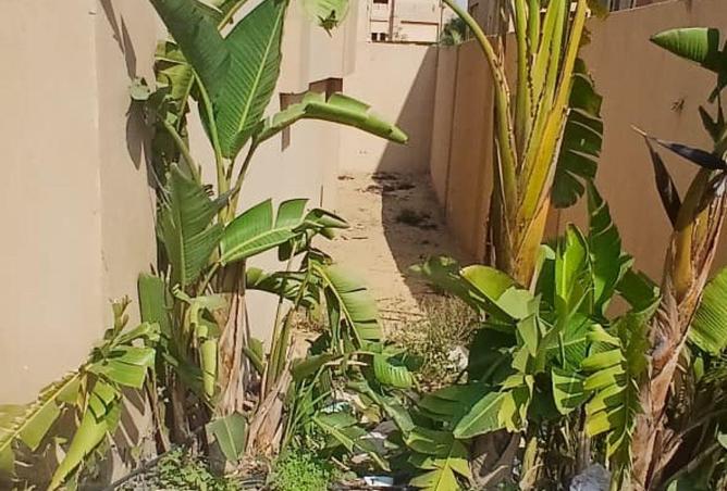 66175681 - الصورة الرئيسية للعقار