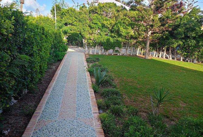 58735703 - صورة العقار 2