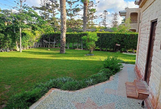 58735703 - صورة العقار 3