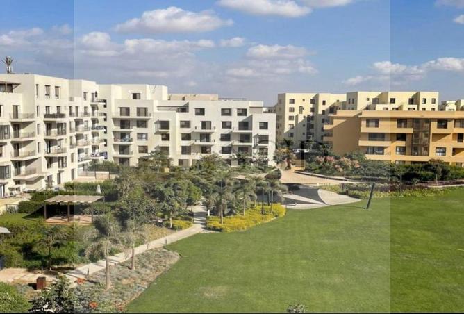 55246498 - صورة العقار 2