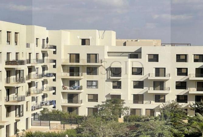 55246498 - صورة العقار 3