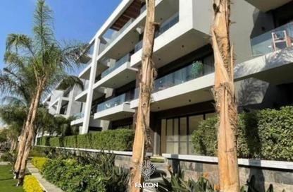 Apartment - 3 Bedrooms - 3 Bathrooms for sale in El Patio Oro - 5th Settlement Compounds - The 5th Settlement - New Cairo City - Cairo Apartment - 3 Bedrooms - 3 Bathrooms for sale in El Patio Oro - 5th Settlement Compounds - The 5th Settlement - New Cairo City - Cairo