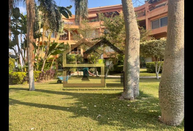 54503054 - صورة العقار 2