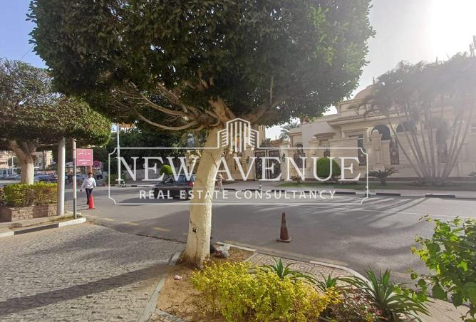 65918747 - صورة العقار 2