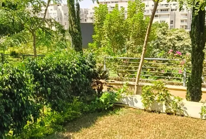 120107926 - صورة العقار 3