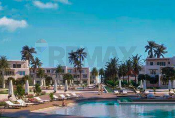 101497865 - Property Image 3